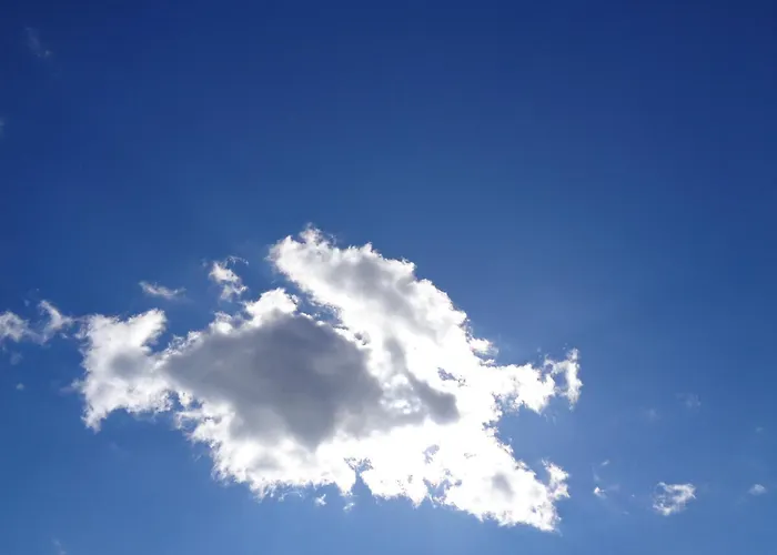 Holiday home Black *